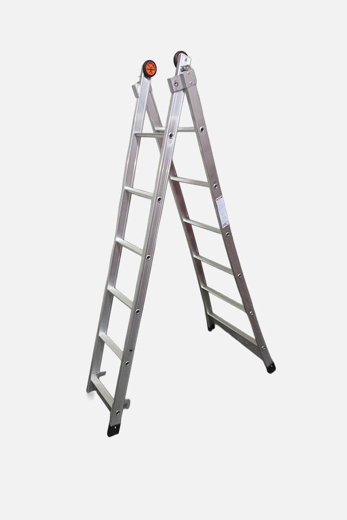 DP1 01